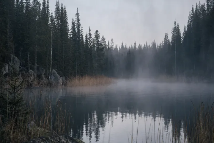 Smal skogssjö omgiven av granskog